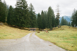 christian h. hasselbusch