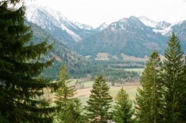 christian h. hasselbusch