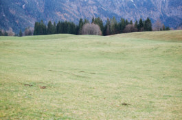 christian h. hasselbusch