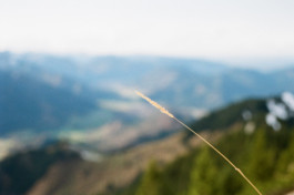 christian h. hasselbusch