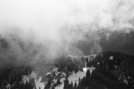 christian h. hasselbusch