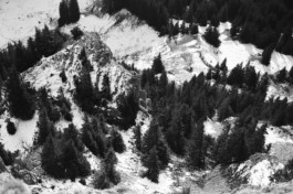 christian h. hasselbusch