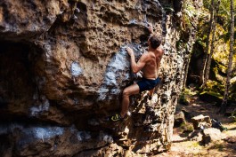 christian h. hasselbusch