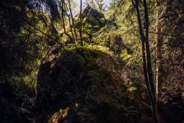 christian h. hasselbusch