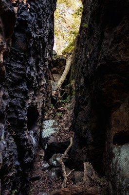 christian h. hasselbusch