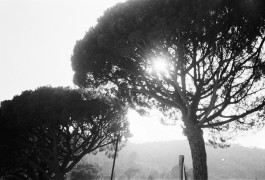 christian h. hasselbusch