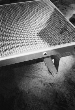 christian h. hasselbusch