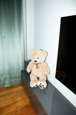 christian h. hasselbusch