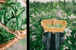 christian h. hasselbusch