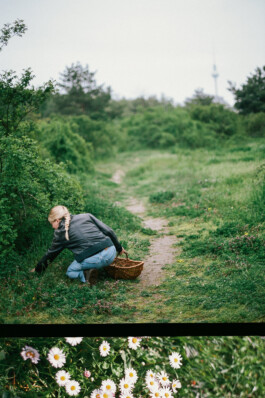 christian h. hasselbusch